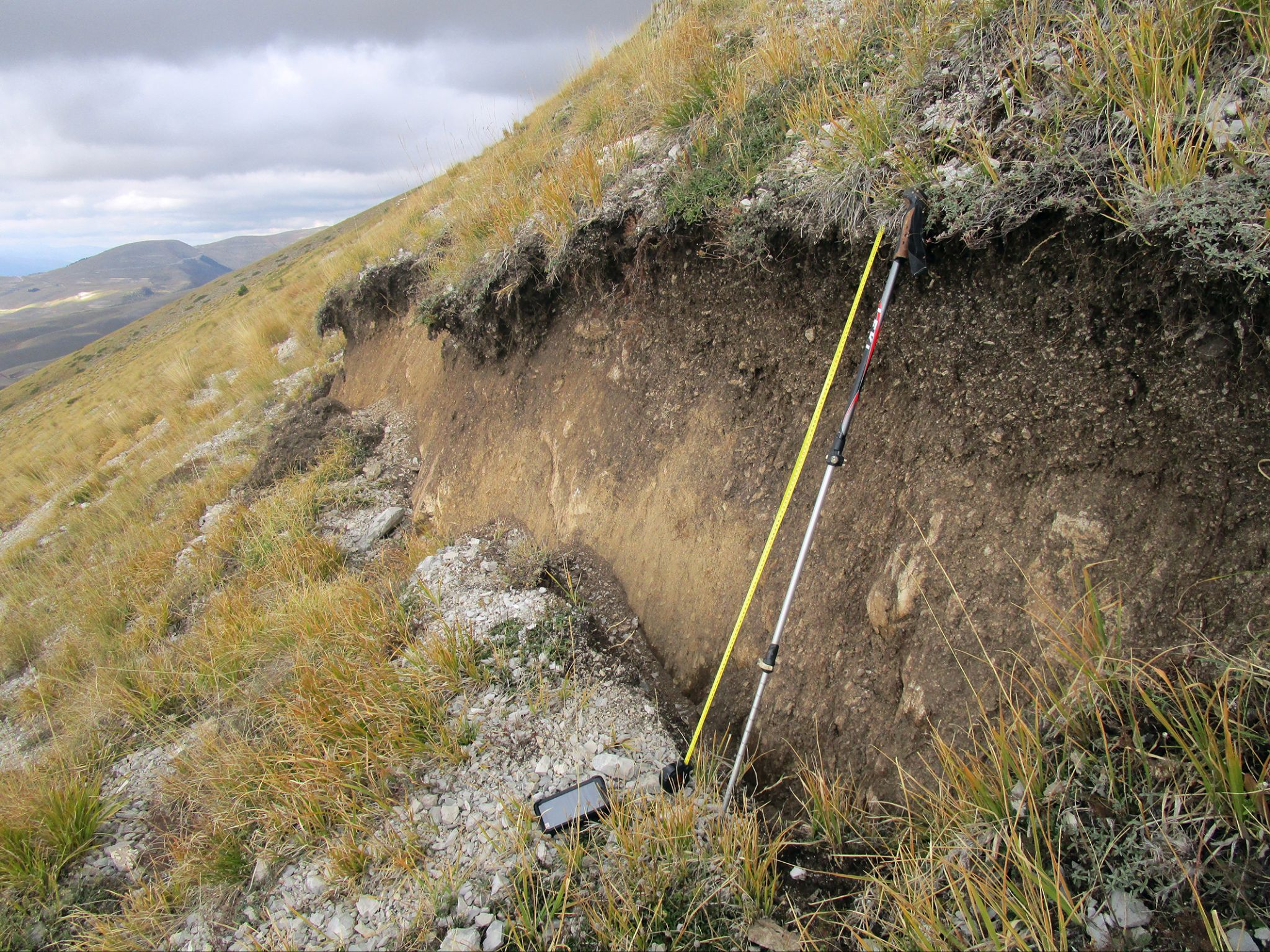 coseismic rupture Norcia 2016