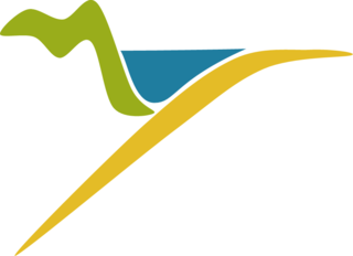 DISS  Logo